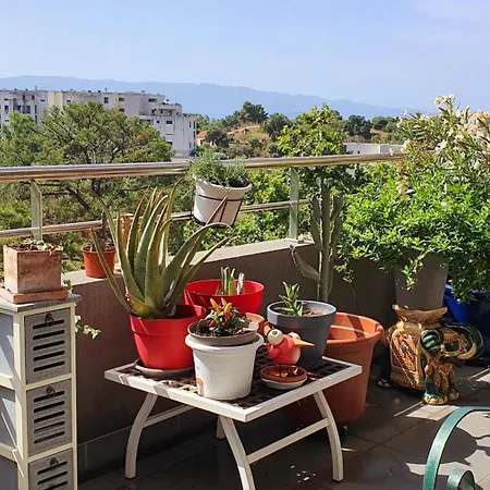 Appartement T3 Vue Proche